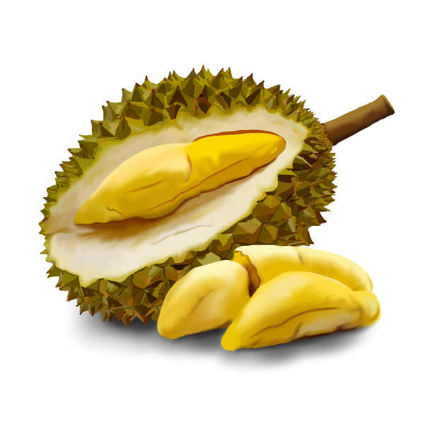 Free Fruit Fruit Food Durian Clipart Clipart Transparent Background