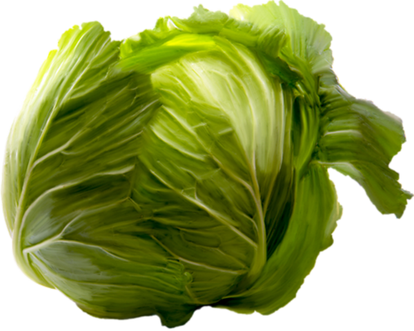 Free Spring Vegetable Leaf Vegetable Cabbage Clipart Clipart Transparent Background