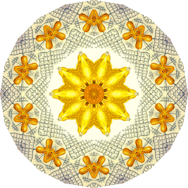 Free Sunflower Flower Sunflower Circle Clipart Clipart Transparent Background