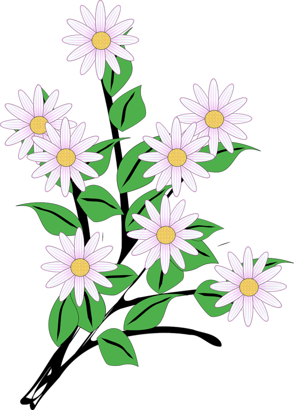 Free Daisy Flower Flora Daisy Clipart Clipart Transparent Background