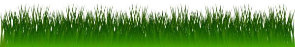 Free Family Grass Leaf Grass Family Clipart Clipart Transparent Background
