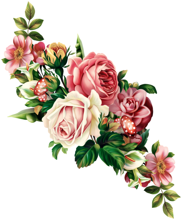 Free Rose Flower Rose Family Flower Arranging Clipart Clipart Transparent Background