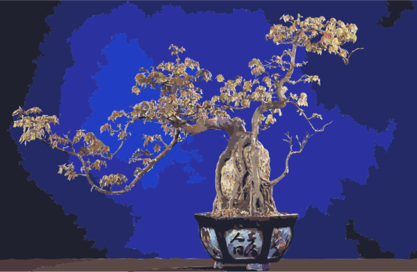Free Tree Tree Bonsai Plant Clipart Clipart Transparent Background