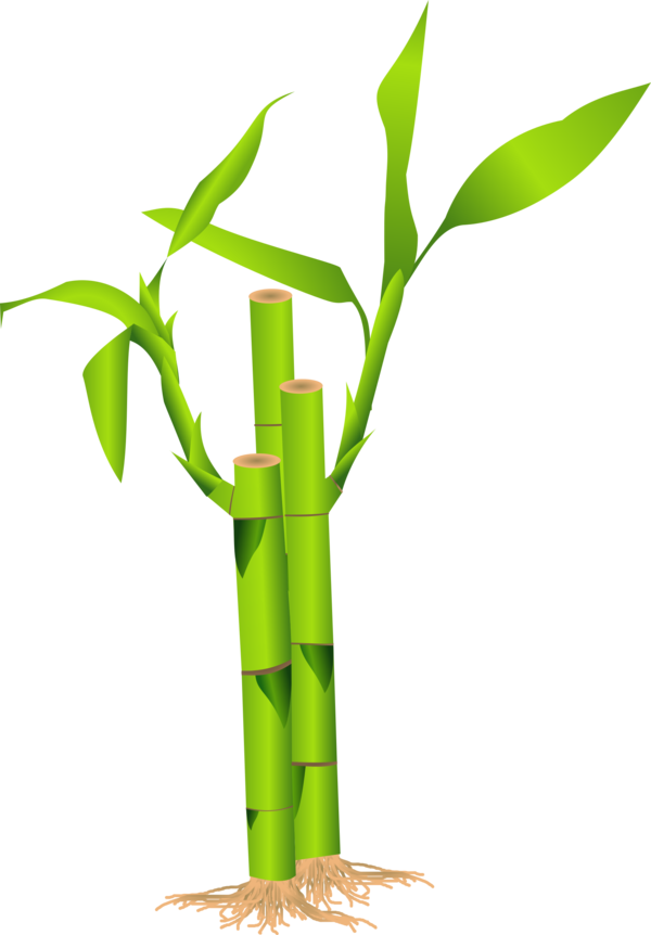 Free Family Bamboo Plant Stem Grass Family Clipart Clipart Transparent Background
