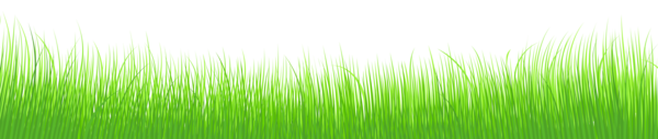 Free Leaf Grass Leaf Grassland Clipart Clipart Transparent Background