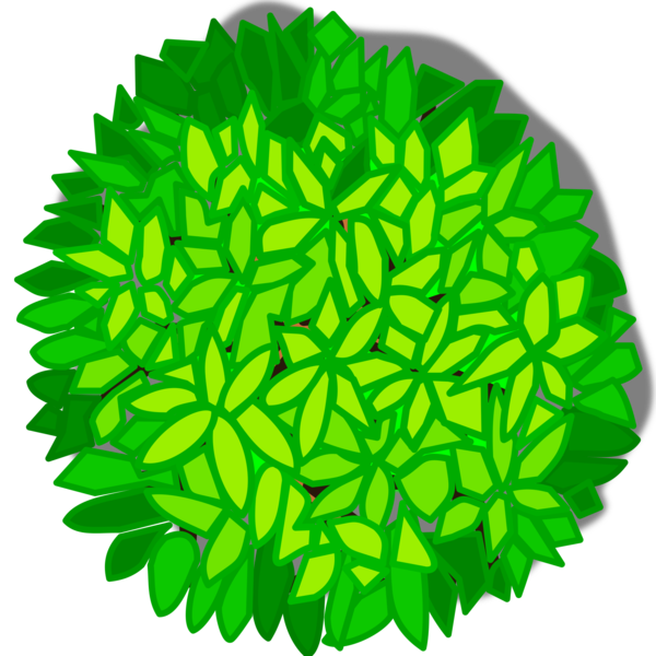 Free Fruit Leaf Tree Symmetry Clipart Clipart Transparent Background
