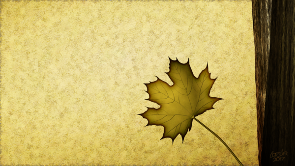Free Leaf Leaf Maple Leaf Tree Clipart Clipart Transparent Background
