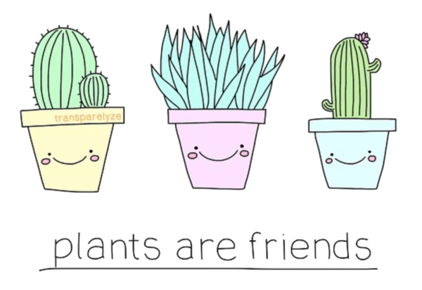 Free Cactus Plant Flowerpot Line Clipart Clipart Transparent Background