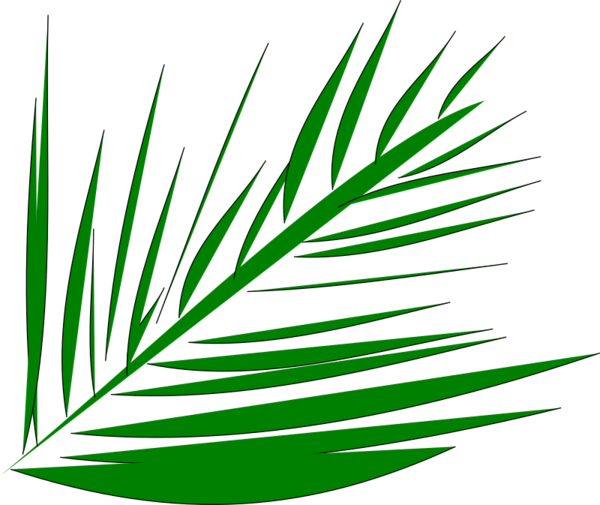 Free Grass Leaf Plant Grass Clipart Clipart Transparent Background