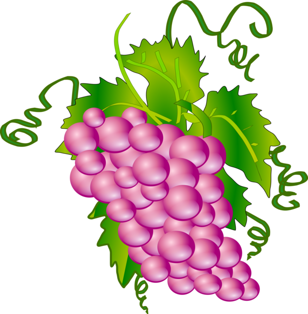 Free Wine Grape Fruit Natural Foods Clipart Clipart Transparent Background