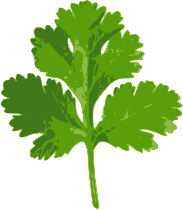 Free Herb Leaf Leaf Vegetable Tree Clipart Clipart Transparent Background