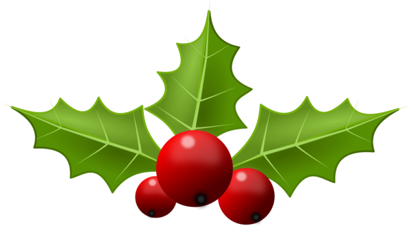 Free Christmas Aquifoliaceae Holly Leaf Clipart Clipart Transparent Background
