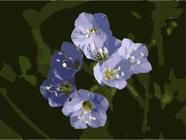 Free Spring Flower Flora Violet Clipart Clipart Transparent Background