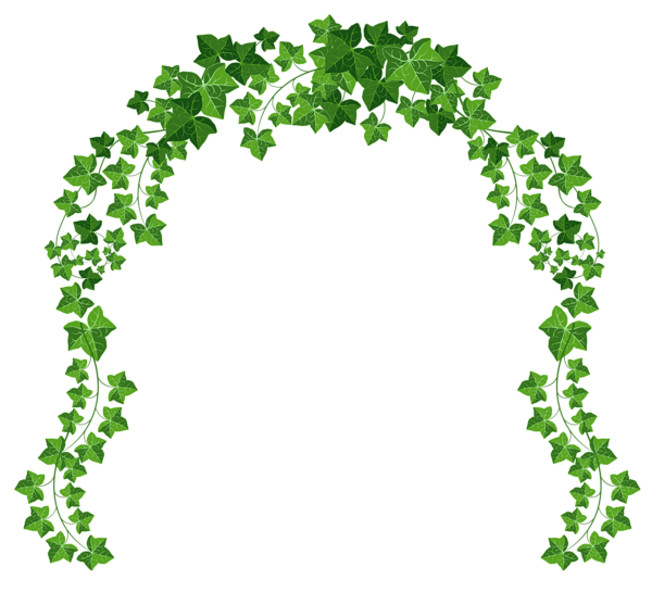 Free Tree Leaf Tree Plant Clipart Clipart Transparent Background