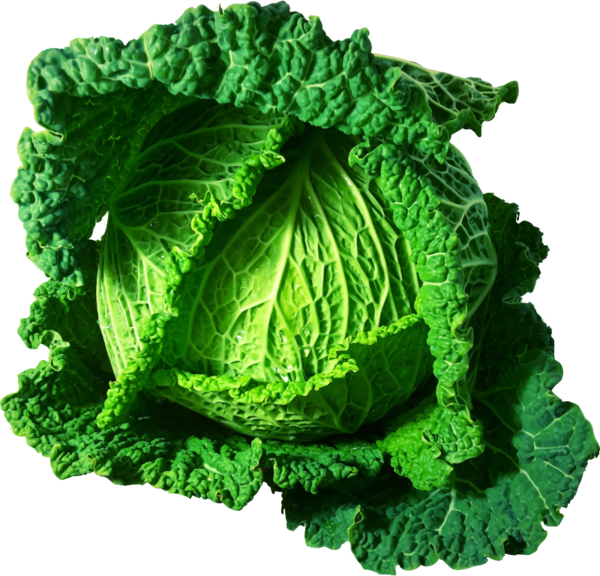 Free Spring Vegetable Leaf Vegetable Cabbage Clipart Clipart Transparent Background