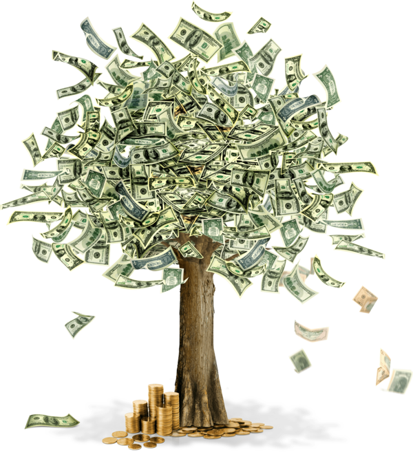 Free Money Tree Money Currency Clipart Clipart Transparent Background