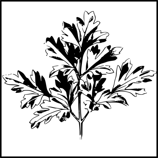 Free Tree Plant Leaf Black And White Clipart Clipart Transparent Background