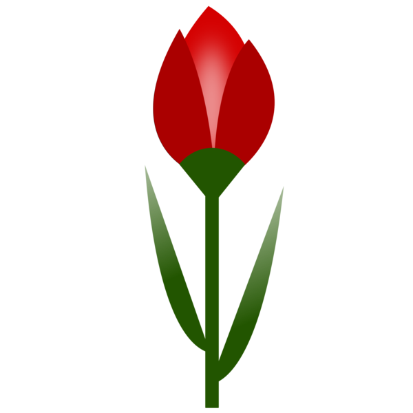 Free Lily Flower Plant Tulip Clipart Clipart Transparent Background
