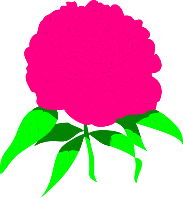 Free Peony Flower Leaf Plant Clipart Clipart Transparent Background