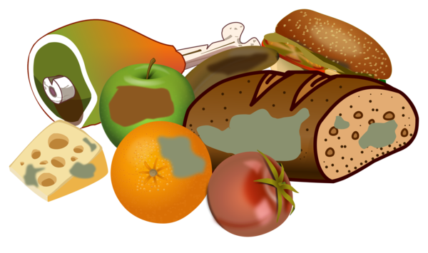 Free Fast Food Food Vegetable Fruit Clipart Clipart Transparent Background