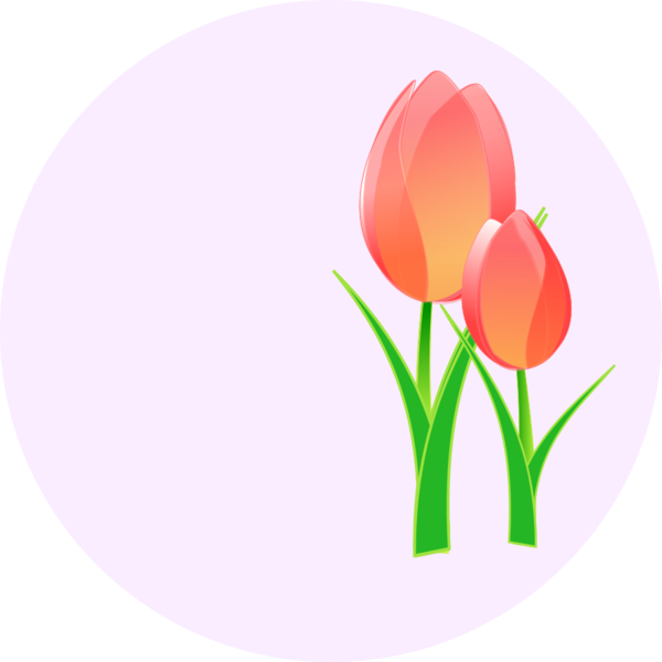 Free Lily Flower Tulip Plant Clipart Clipart Transparent Background
