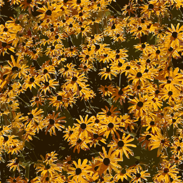 Free Autumn Flower Plant Flora Clipart Clipart Transparent Background
