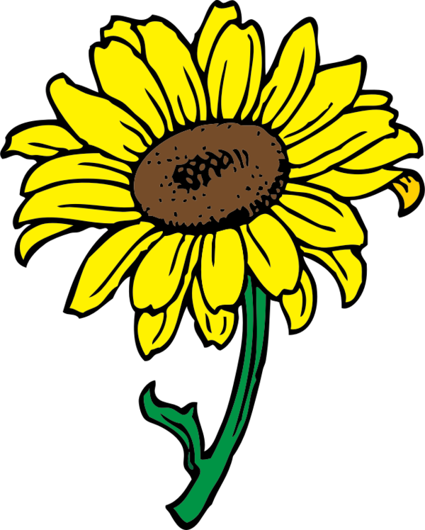 Free Daisy Flower Sunflower Black And White Clipart Clipart Transparent Background