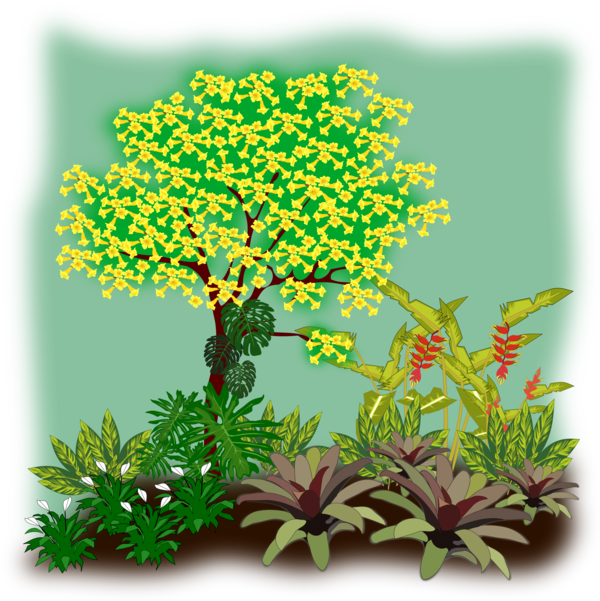 Free Landscape Plant Tree Shrub Clipart Clipart Transparent Background