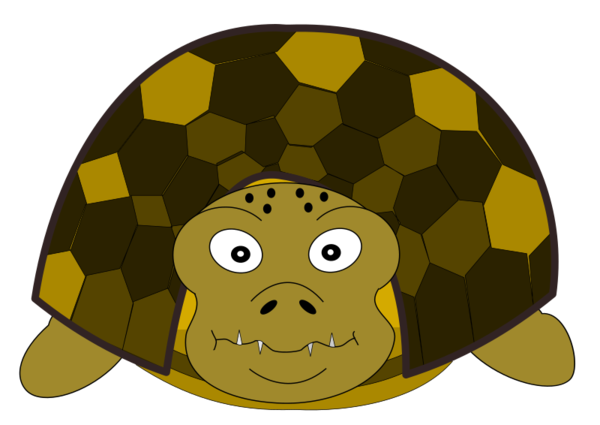 Free Turtle Turtle Tortoise Cartoon Clipart Clipart Transparent Background