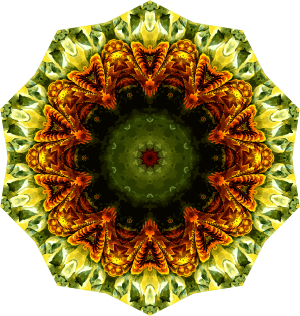 Free Lizard Sunflower Circle Clipart Clipart Transparent Background