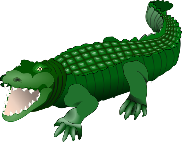 Free Grass Reptile Crocodilia Alligator Clipart Clipart Transparent Background