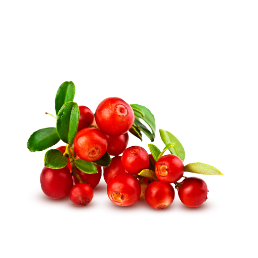 Free Coffee Natural Foods Fruit Lingonberry Clipart Clipart Transparent Background