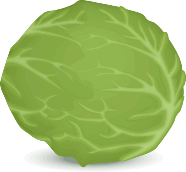 Free Salad Cabbage Leaf Vegetable Clipart Clipart Transparent Background