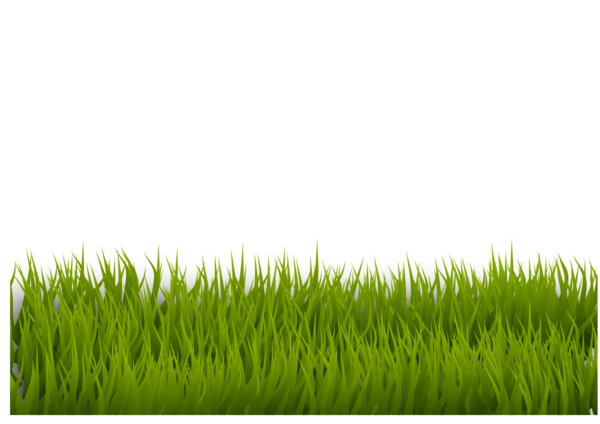 Free Family Grass Grass Family Plant Clipart Clipart Transparent Background