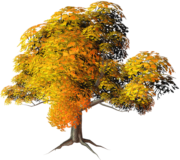Free Autumn Tree Autumn Branch Clipart Clipart Transparent Background