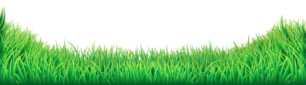 Free Family Grass Grass Family Grassland Clipart Clipart Transparent Background