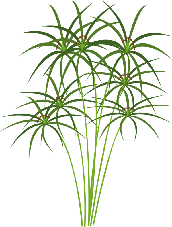 Free Grass Plant Tree Leaf Clipart Clipart Transparent Background