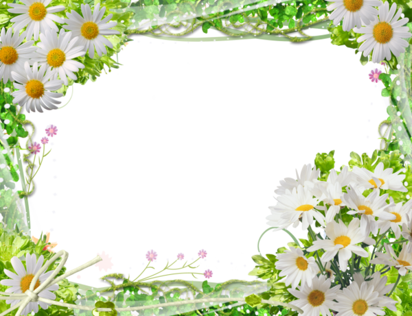 Free Spring Flower Flora Daisy Clipart Clipart Transparent Background