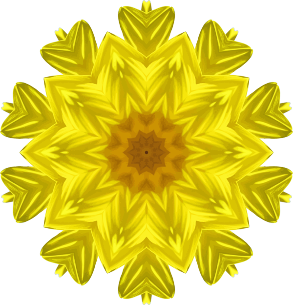 Free Daisy Flower Sunflower Symmetry Clipart Clipart Transparent Background