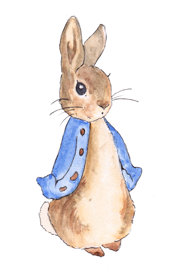 Free Rabbit Rabbit Hare Whiskers Clipart Clipart Transparent Background