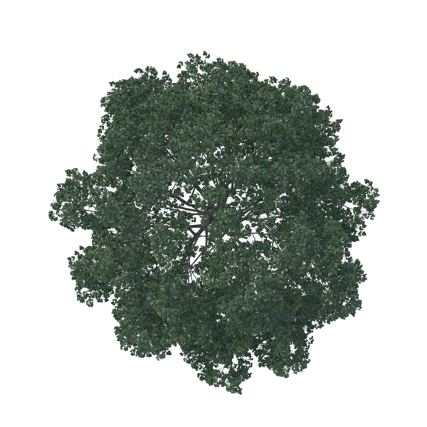 Free Landscape Tree Grass Clipart Clipart Transparent Background