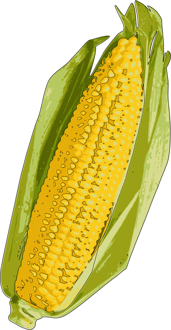 Free Vegetable Sweet Corn Corn On The Cob Maize Clipart Clipart Transparent Background