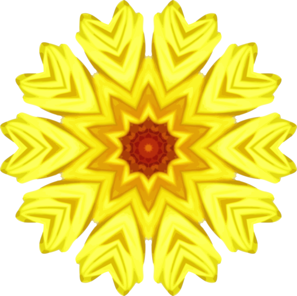 Free Sunflower Flower Sunflower Symmetry Clipart Clipart Transparent Background