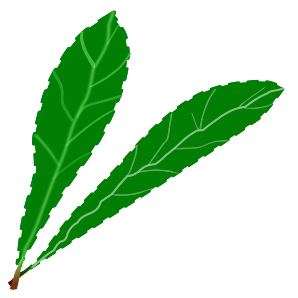 Free Herb Leaf Plant Hemp Clipart Clipart Transparent Background