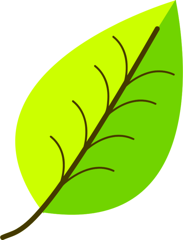 Free Autumn Leaf Plant Line Clipart Clipart Transparent Background