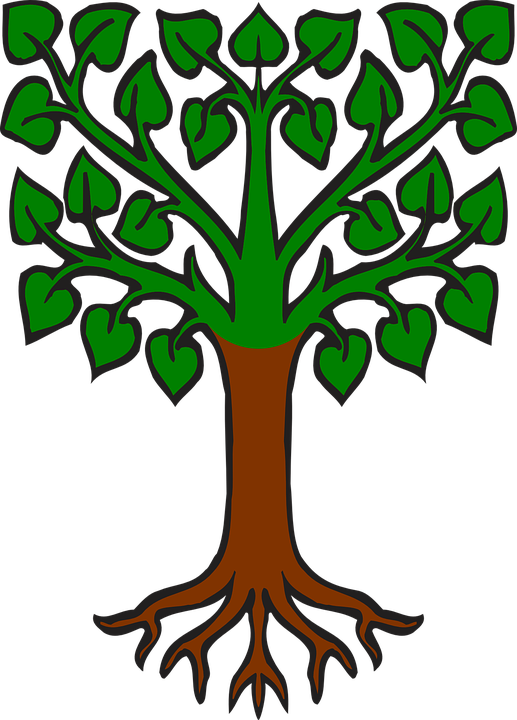 Free Leaf Tree Plant Woody Plant Clipart Clipart Transparent Background