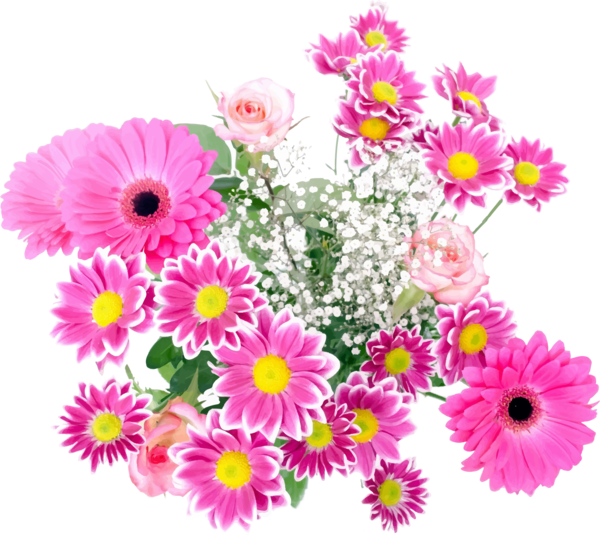 Free Gerbera Flower Plant Floristry Clipart Clipart Transparent Background