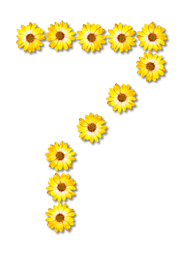 Free Gerbera Flower Sunflower Sunflower Seed Clipart Clipart Transparent Background
