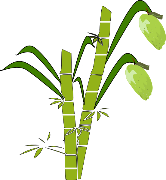 Free Grass Leaf Plant Stem Plant Clipart Clipart Transparent Background