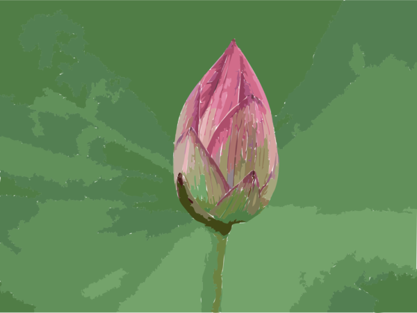 Free Spring Flower Lotus Sacred Lotus Clipart Clipart Transparent Background
